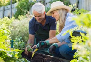 Mature couple, smiling, working together in a garden doing activities to prevent Alzheimer's disease 