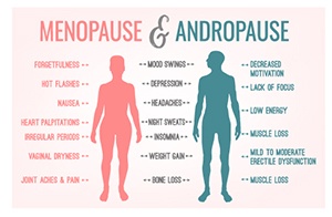 Diagram demonstrating physician differences and similarities between andropause and menopause
