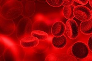 image of blood clots that can be preventive by vitamin k