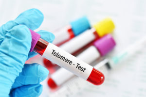 test tube with blood sample for telomere test, biological age prognosis via blood test