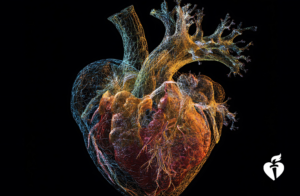 A stylized, abstract heart shape composed of numerous small, colorful particles against a black background. The particles form a translucent, glowing structure with branches extending from the top.